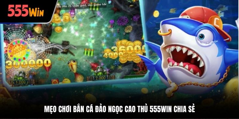 Mẹo chơi bắn cá đảo ngọc cao thủ 555Win chia sẻ