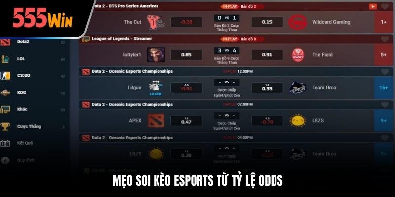 Mẹo soi kèo Esports từ tỷ lệ Odds